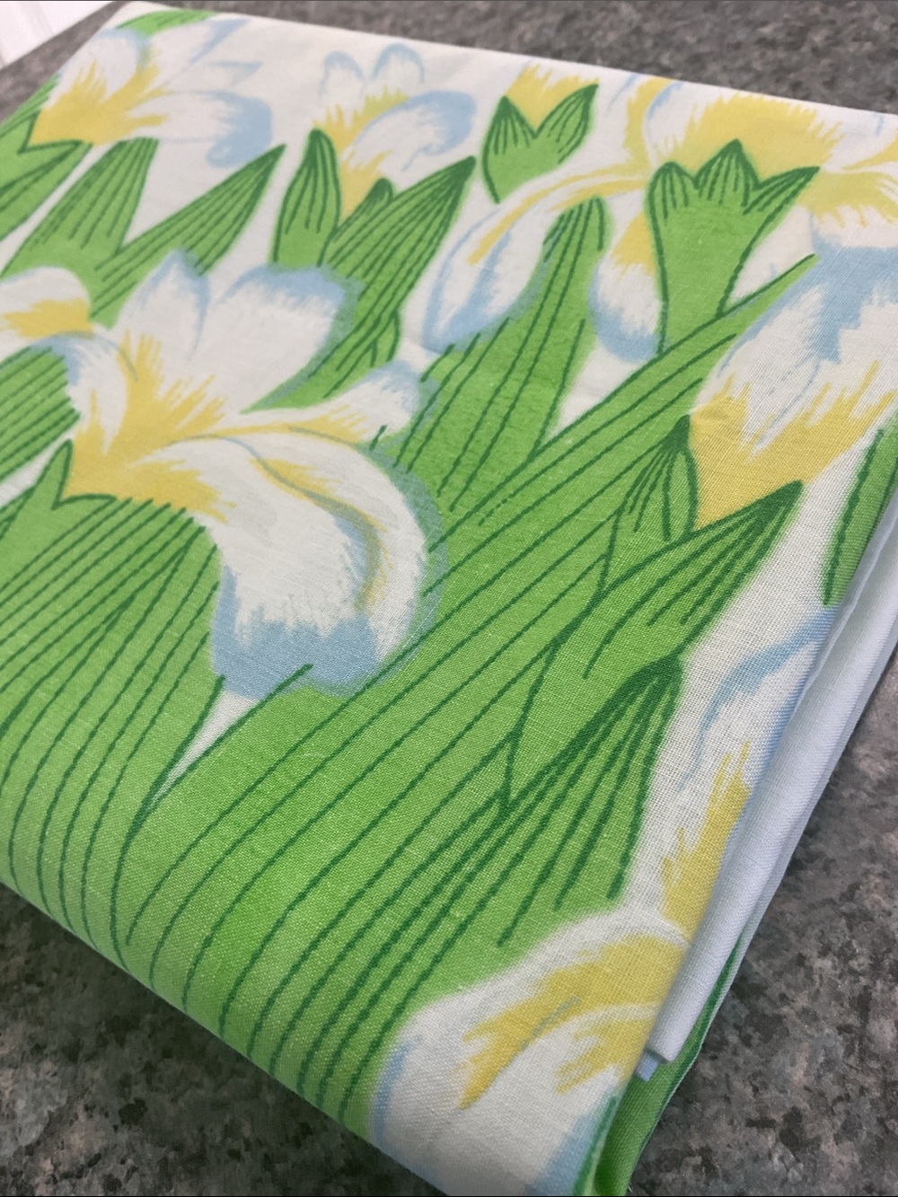 Tennessee Iris 1978 pillowcases. Tastemaker vintage